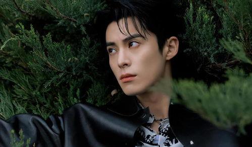 娱乐最新爆料王鹤棣图片,帅气魅力引网友热议